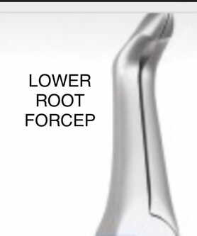 TDI LOWER ROOT FORCEP THIN NEW PATTERN