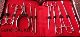 TDI ORAL SURGERY KIT SET OF 10