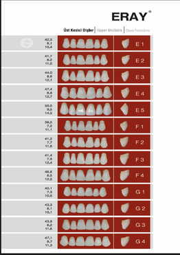 ACRYLIC TEETH FULL SET...ERAY TURKEY