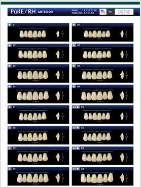 ACRYLIC RESIN FULL TEETH SET ....QUEST JAPAN