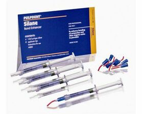 PULPDENT SILANE KIT